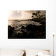 Rocky Coastline, Poipu, Kauai, Hawaii Wall Mural