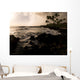 Rocky Coastline, Poipu, Kauai, Hawaii Wall Mural
