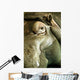 Hippo Wall Mural