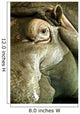 Hippo Wall Mural
