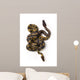 Two Ball Python Snakes Intertwined Wall Mural