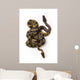 Two Ball Python Snakes Intertwined Wall Mural