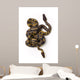 Two Ball Python Snakes Intertwined Wall Mural