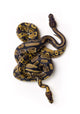 Two Ball Python Snakes Intertwined Wall Mural