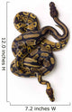 Two Ball Python Snakes Intertwined Wall Mural