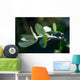 Junger Eukalyptustrieb im Morgentau Wall Decal