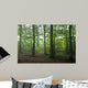 Oak and Hornbeam Trees Wall Mural