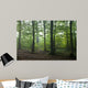 Oak and Hornbeam Trees Wall Mural