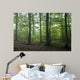 Oak and Hornbeam Trees Wall Mural