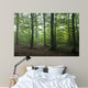 Oak and Hornbeam Trees Wall Mural