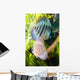 Tropical Fish Wall Mural