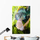Tropical Fish Wall Mural