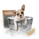Dog Getting a Bath Wall Decal