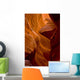 Antelope Canyon, Arizona, Usa Wall Mural
