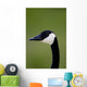 Goose Head Wall Mural
