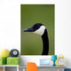Goose Head Wall Mural