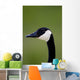 Goose Head Wall Mural