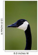 Goose Head Wall Mural