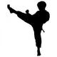 Boy Karate Kick Silhouette Wall Decal