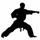 Karate Kata Wall Decal