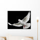 White Dove in Flight 6 Wall Mural