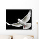 White Dove in Flight 6 Wall Mural