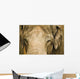 An Elephant's Face Wall Mural