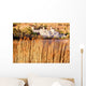 Kylemore Abbey, County Galway, Connemara, Ireland Wall Mural