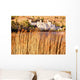 Kylemore Abbey, County Galway, Connemara, Ireland Wall Mural