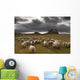 Sheep Grazing By Lindisfarne Castle Wall Mural