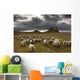 Sheep Grazing By Lindisfarne Castle Wall Mural