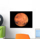 The Mars Wall Mural