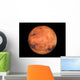 The Mars Wall Mural