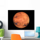 The Mars Wall Mural