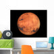 The Mars Wall Mural