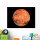 The Mars Wall Mural