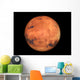 The Mars Wall Mural