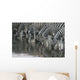 Drinking Zebra Wall Decal Design 2