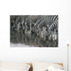 Drinking Zebra Wall Decal Design 2