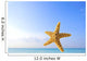 Starfish In Front Of The Ocean Wall Mural
