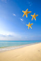 Starfish Falling In Front Of The Ocean Wall Mural