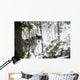 Wolf In The Snow Wall Mural
