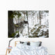 Wolf In The Snow Wall Mural
