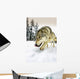 Wolf On The Prowl Wall Mural