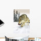 Wolf On The Prowl Wall Mural