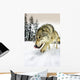 Wolf On The Prowl Wall Mural