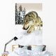 Wolf On The Prowl Wall Mural