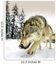 Wolf On The Prowl Wall Mural