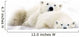 Two Polar Bears Snuggling Wall Mural