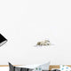 Two Polar Bears Laying Together Wall Mural